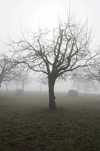 Cloudy field fog photo
