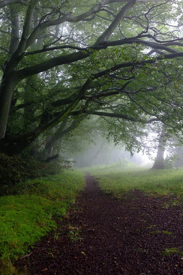 Cloudy dirt road fog