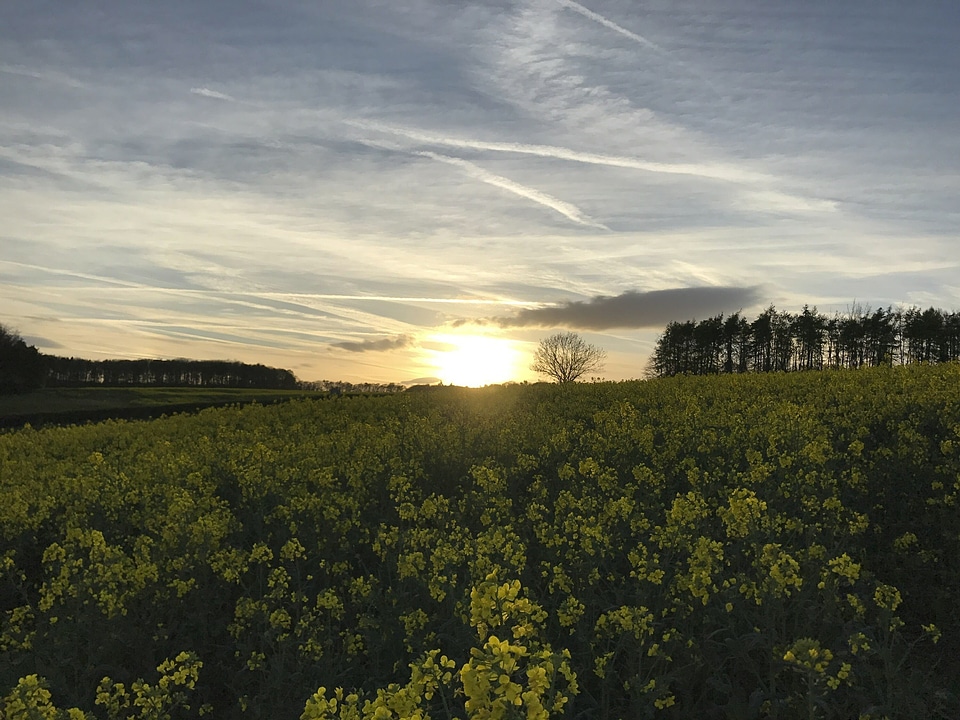 Countryside farm field