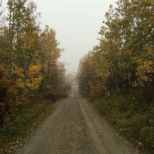 Asphalt autumn dirt road photo
