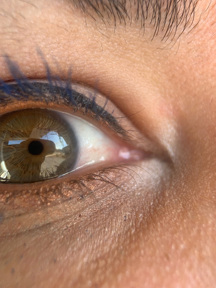 Contact Lens human person