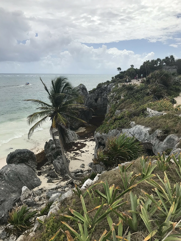 Outdoors plant promontory