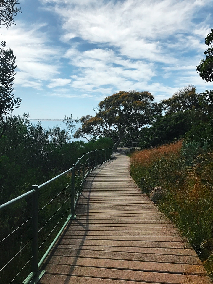 Boardwalk bridge building