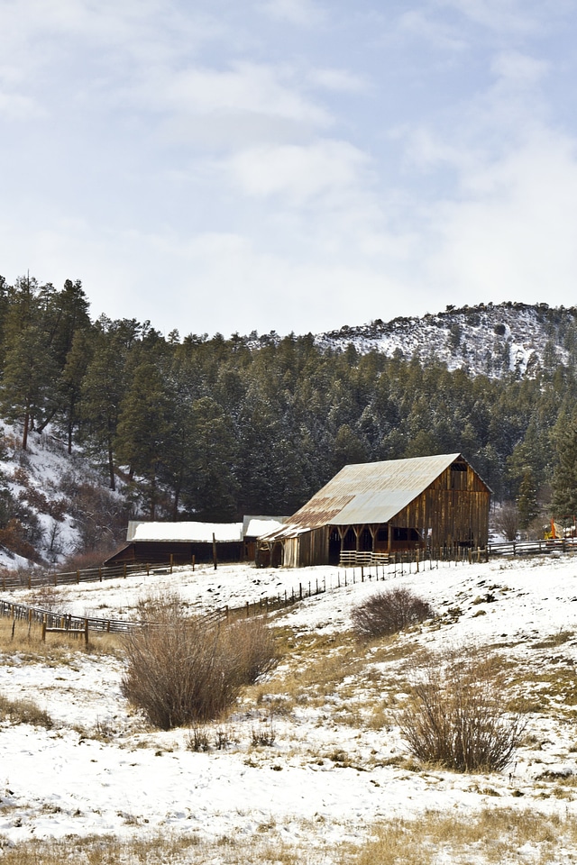 Abies barn building