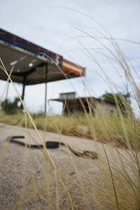 Building countryside grass photo