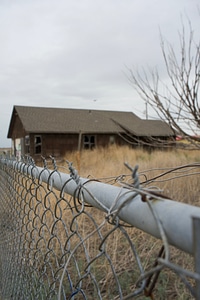 Animal barbed wire fence photo