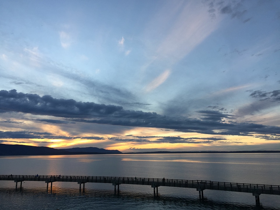 Bridge building dawn