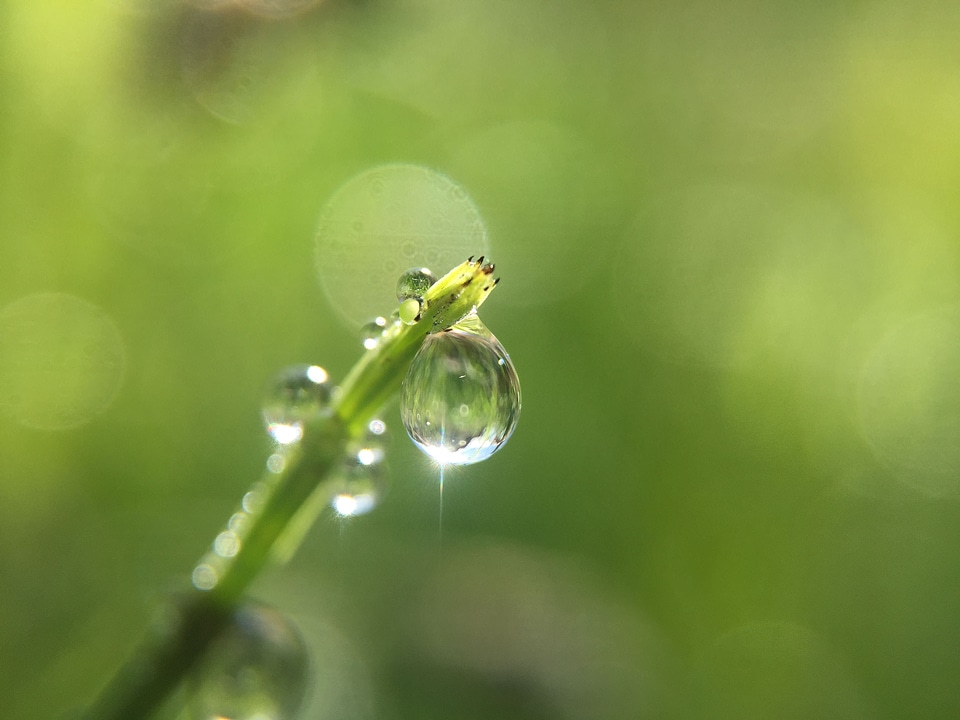 Bokeh depth droplet