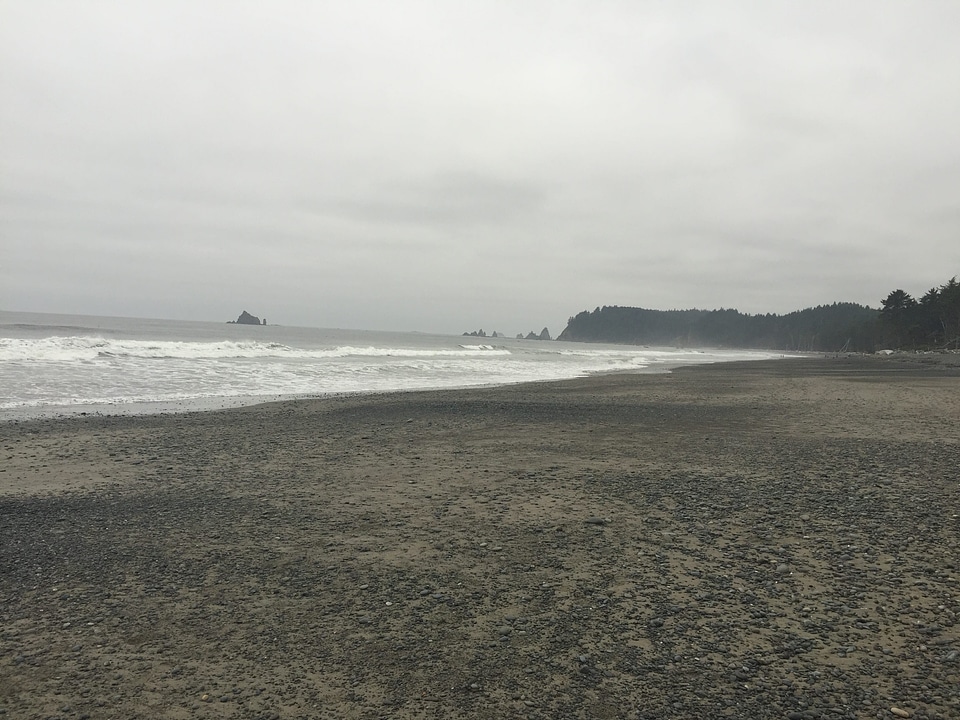 Beach brown coast photo