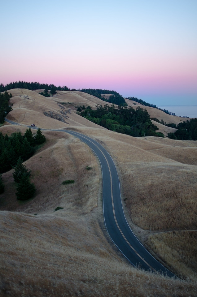 Abies drive field