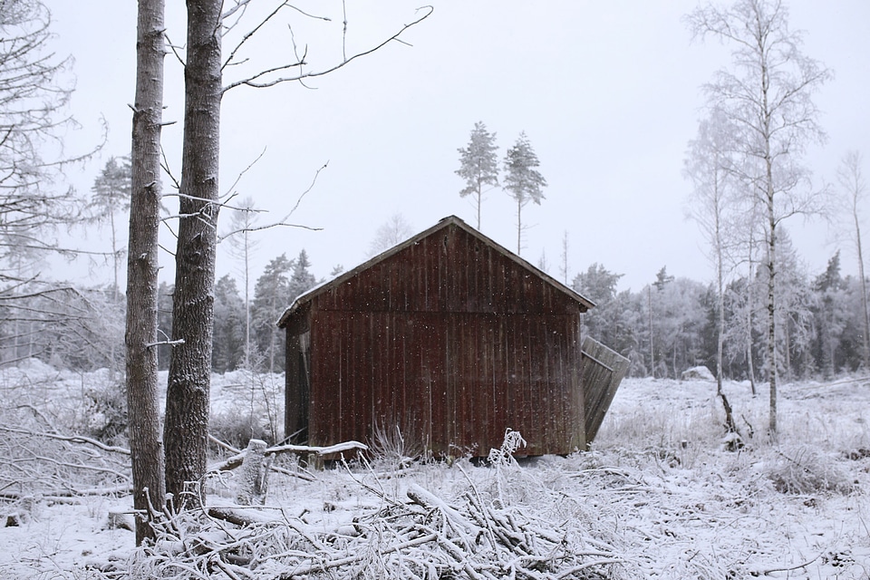 Barn building cabin