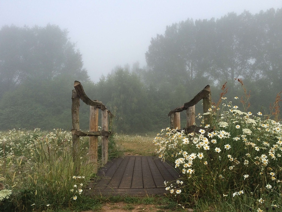 Boardwalk bridge building