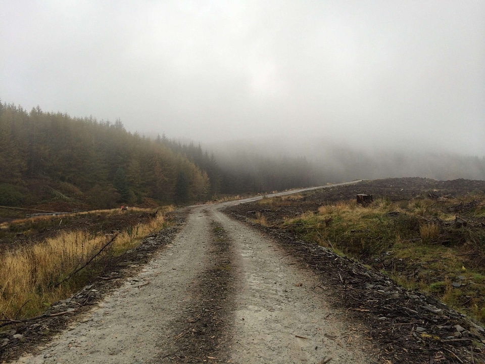 Asphalt autumn dirt road