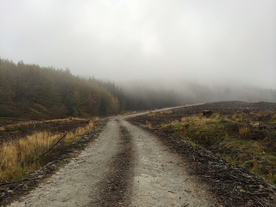 Asphalt autumn dirt road photo