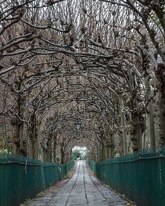 Arbour autumn cobblestone photo