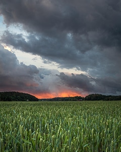 Clouds dramatic field photo