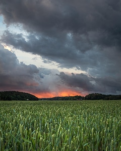 Clouds dramatic field