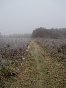 Atmosphere fog frost