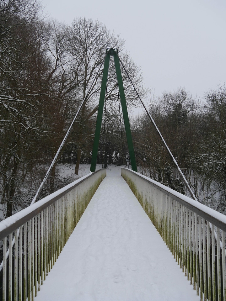 Banister boardwalk bridge