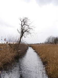 Bourn brook creek photo