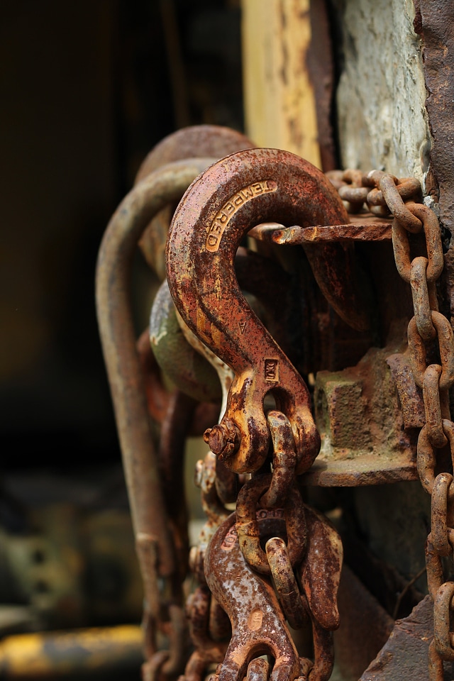 Animal reptile rust
