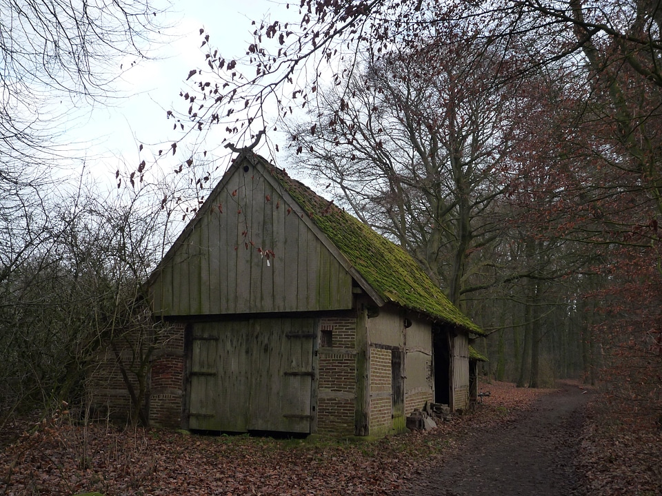 Building cabin countryside