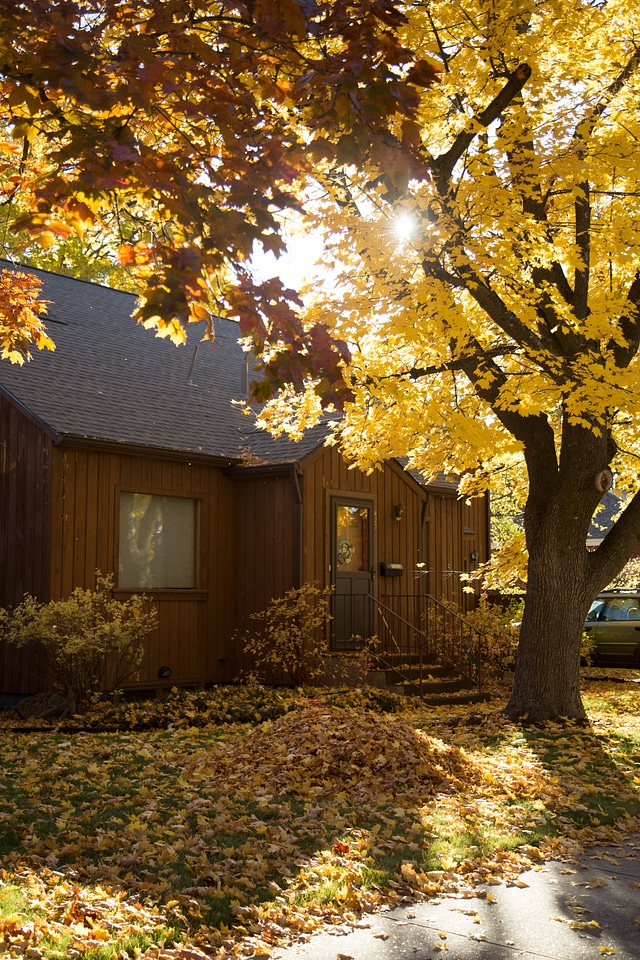 Afternoon autumn building