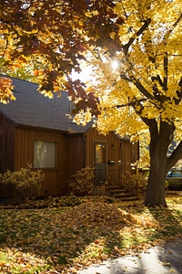 Afternoon autumn building