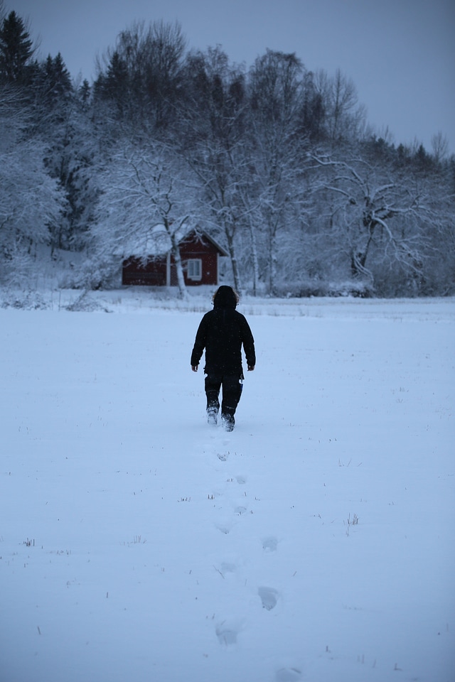 Blizzard blue field