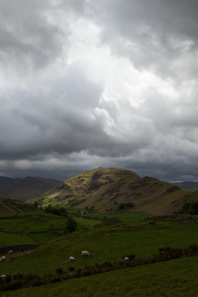 Animal clouds countryside