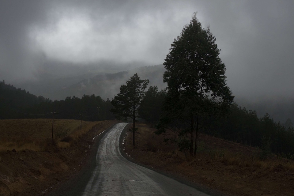 Abies asphalt clouds