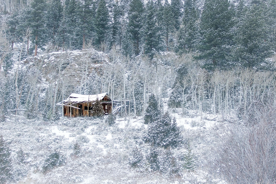Abies barn building