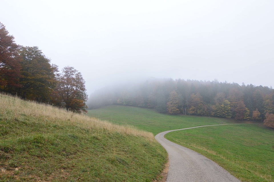 Country countryside field