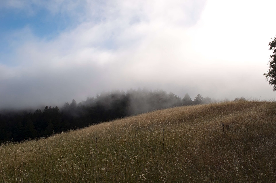 Countryside field fog photo