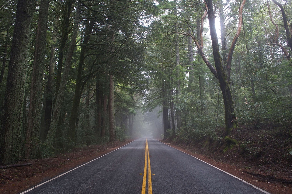 Asphalt centered fog
