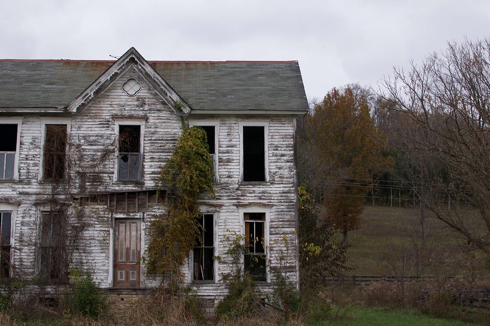 Architecture building cabin