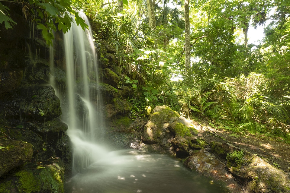 Land nature outdoors