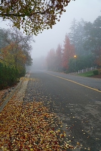 Asphalt dirt road fog