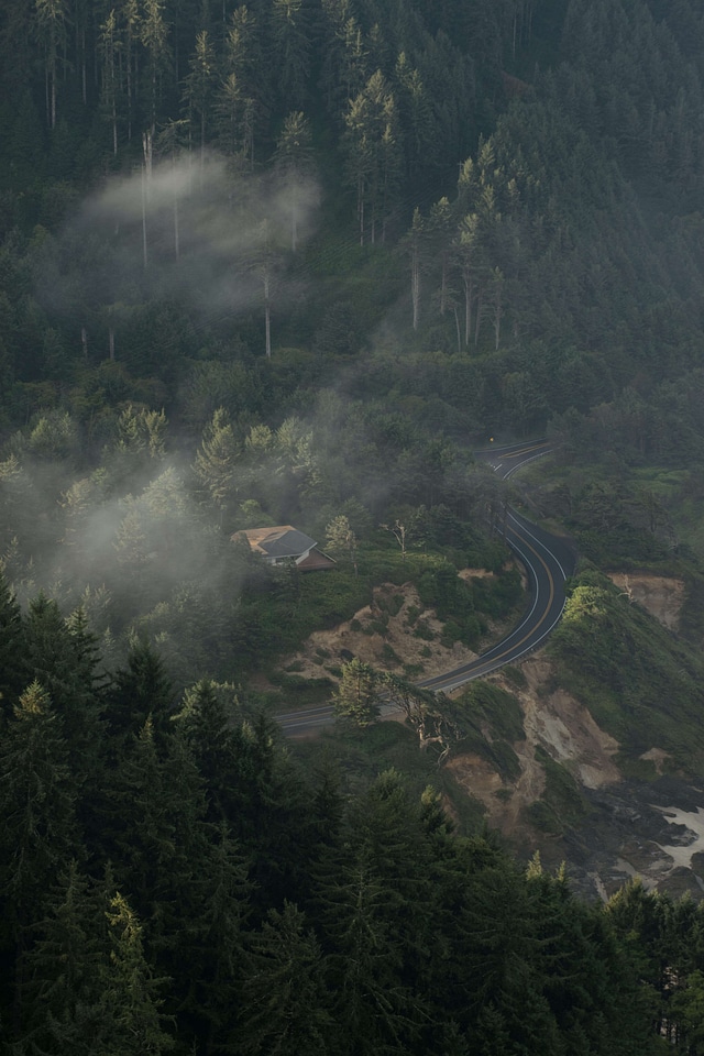 Abies aerial view art