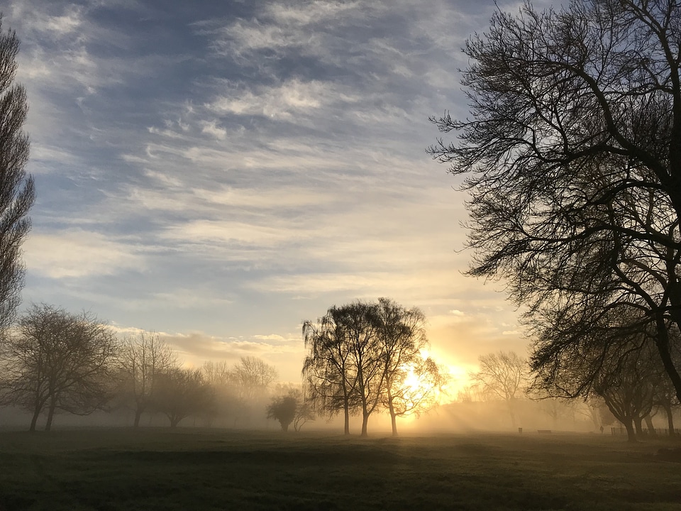 Fog landscape mist photo