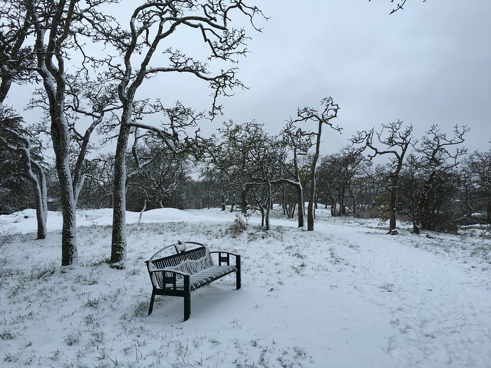 Bench furniture nature