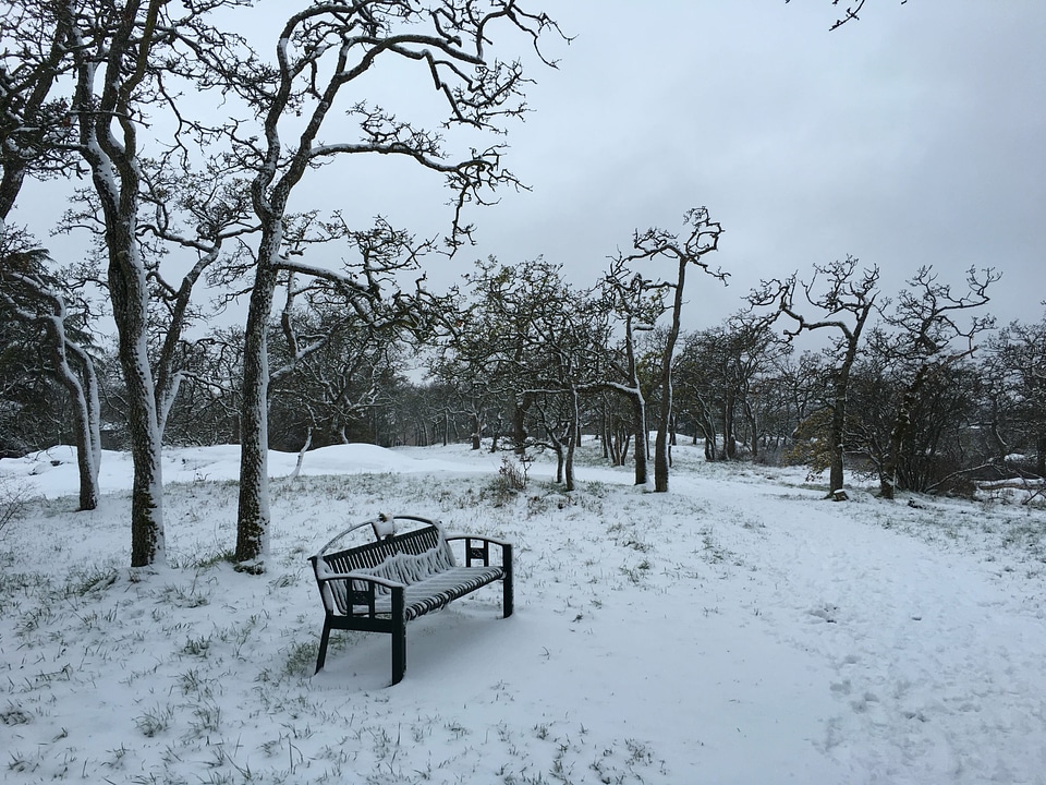 Bench furniture nature photo