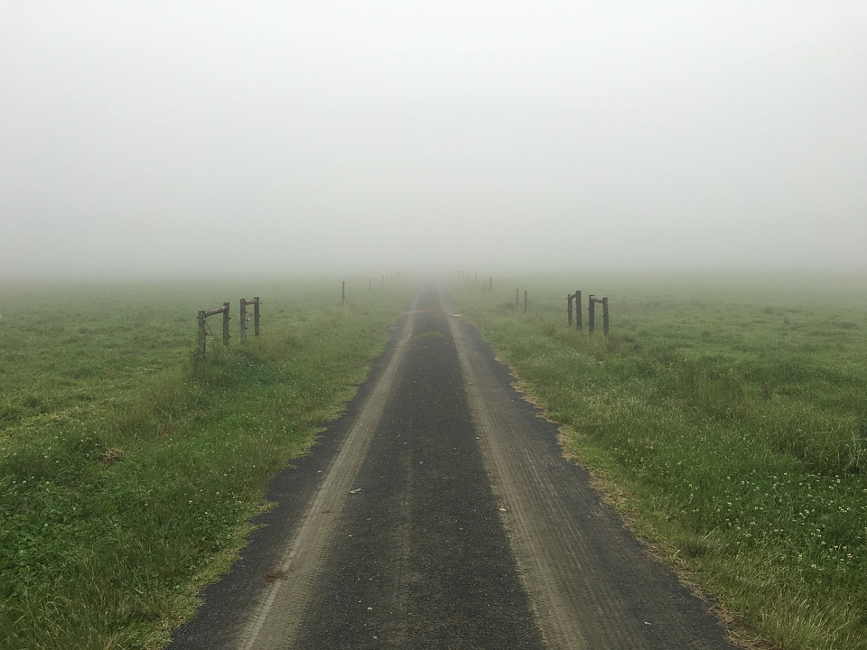 Asphalt country fog