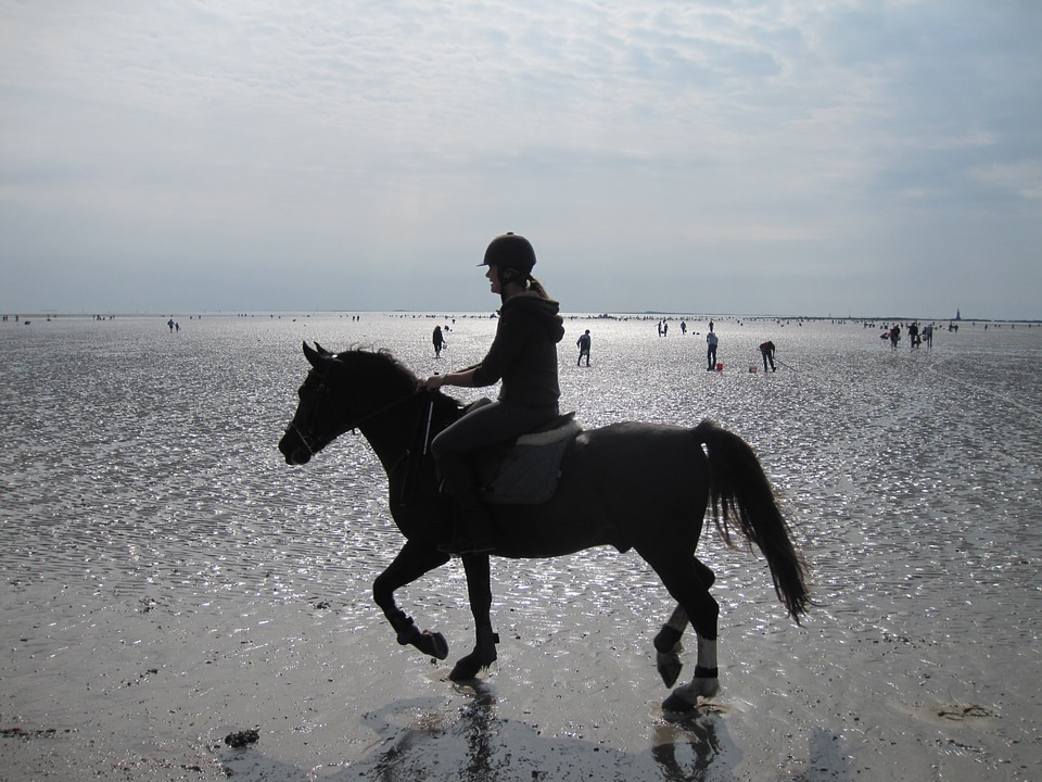 Beach reiter atlantic