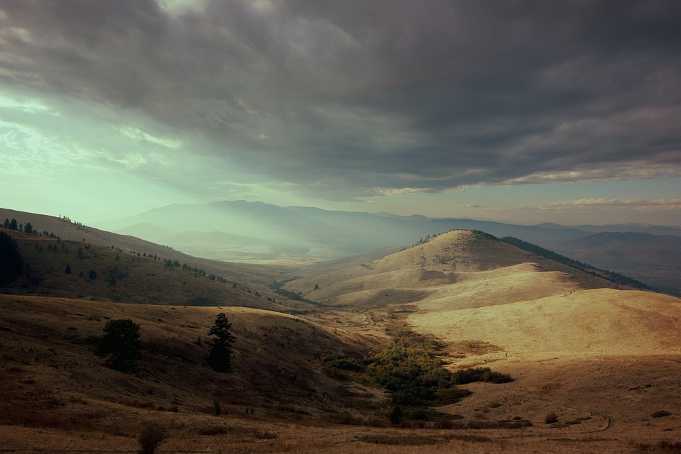 Countryside field grassland