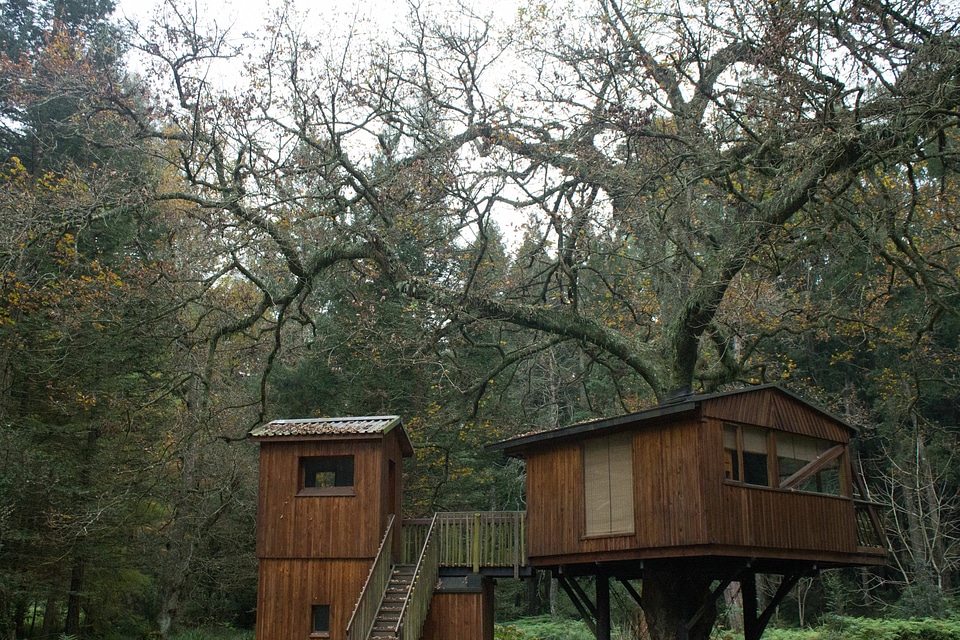 Architecture building cabin photo