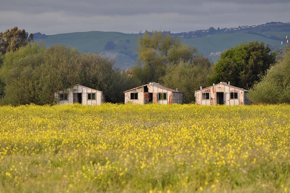 Building cottage countryside photo