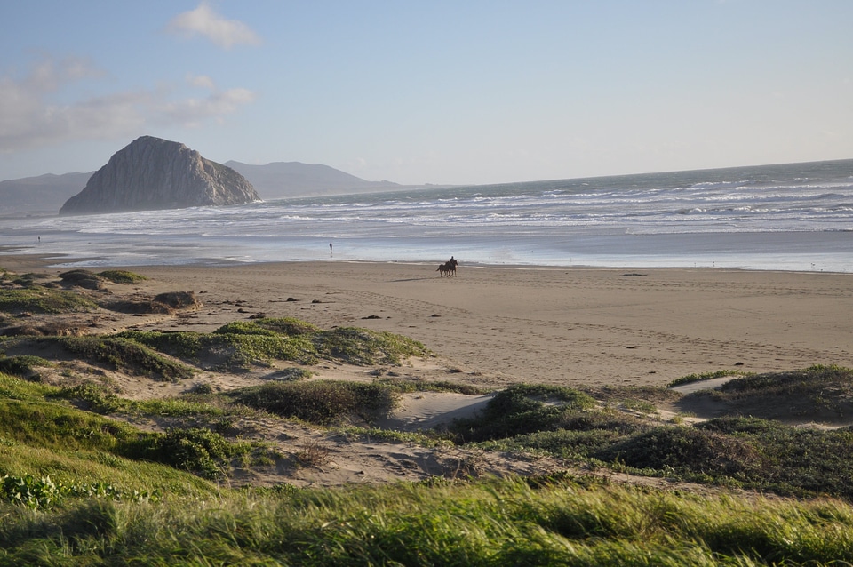 Coast grass land photo