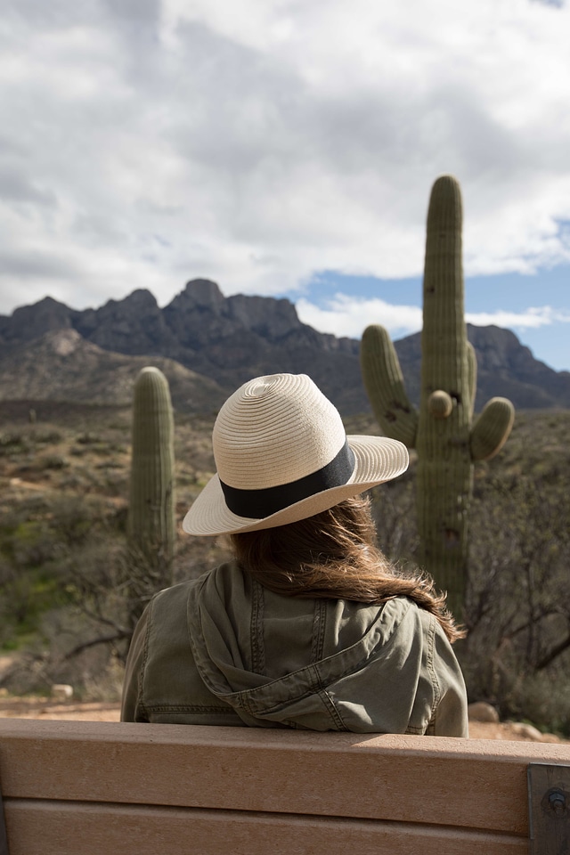 Apparel arizona cactus