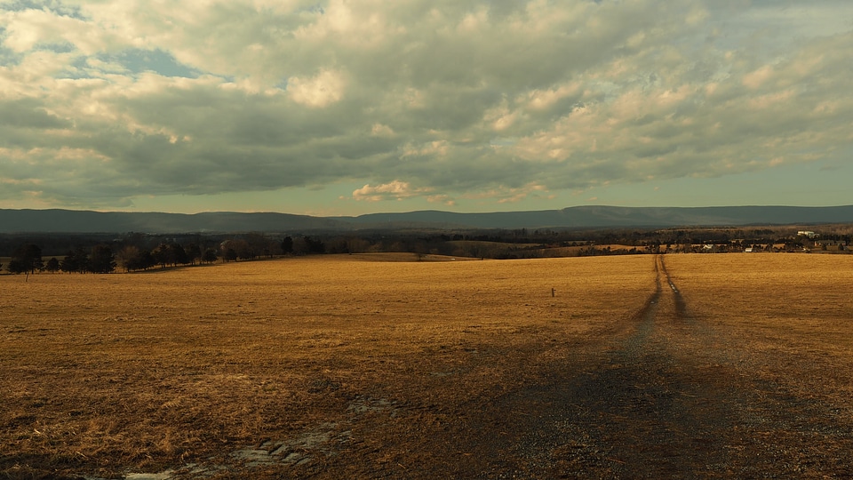 Dirt Road field grassland